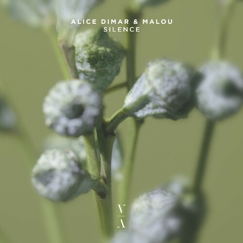 Malou & Alice DiMar - Silence (2024)