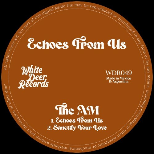 VA -  The AM - Echoes From Us (2024) [MP3] MEVBUWV_o