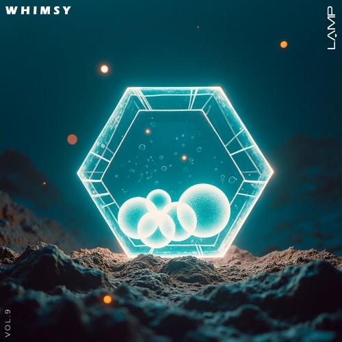  Whimsy, Vol. 9 (2025) 