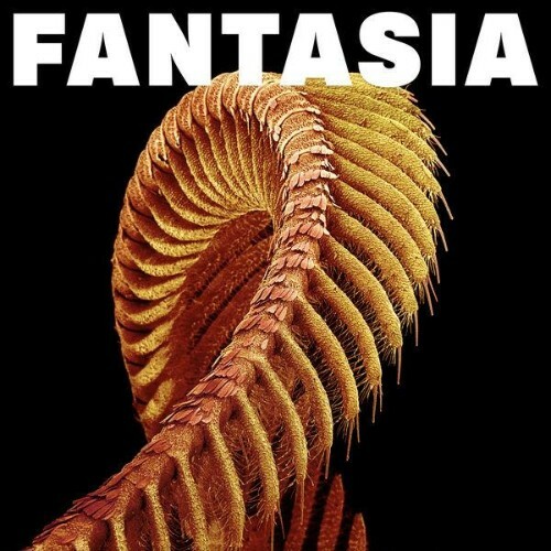 Slift — Fantasia (2026)