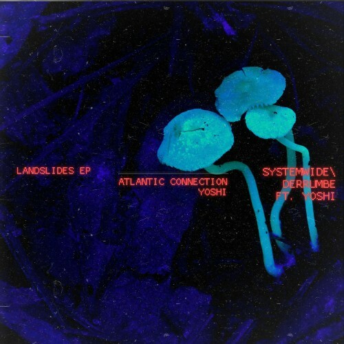  Atlantic Connection - Landslides (2025) 