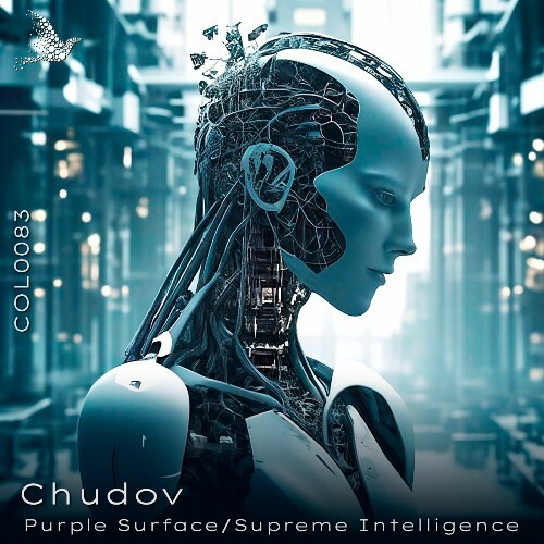  Chudov - Purple Surface (2024)  MEUMQJ3_o