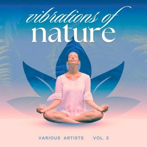  Vibrations of Nature, Vol. 2 (2025) 