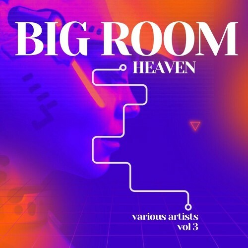  Big Room Heaven, Vol. 3 (2024) 