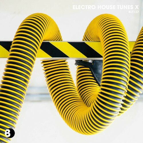 Electro House Tunes X (2024)