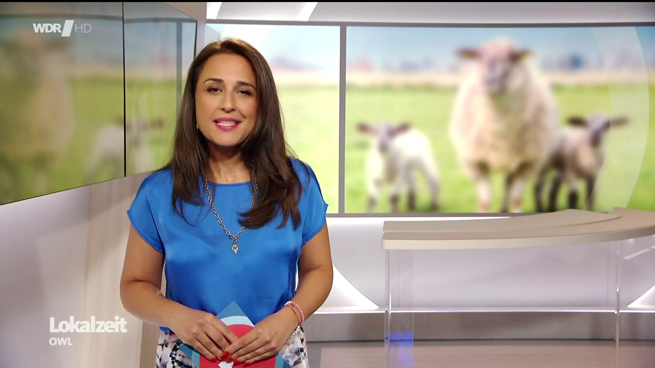 Nina Moghaddam - °WDR Lokalzeit OWL° 15.08.2024 - 119X Caps_95.png