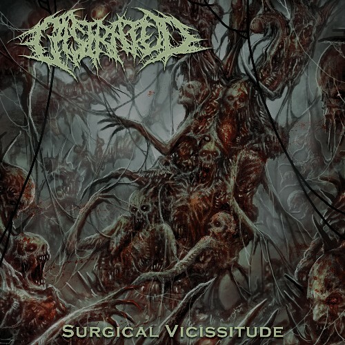  Castrated - Surgical Vicissitude (2024) 