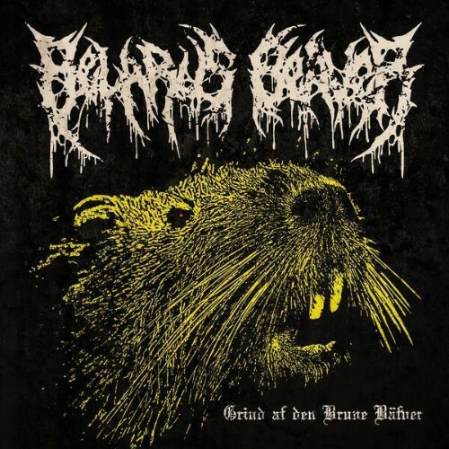  Belarus Beaver - Grind Af Den Brune Bäfver (2026) 
