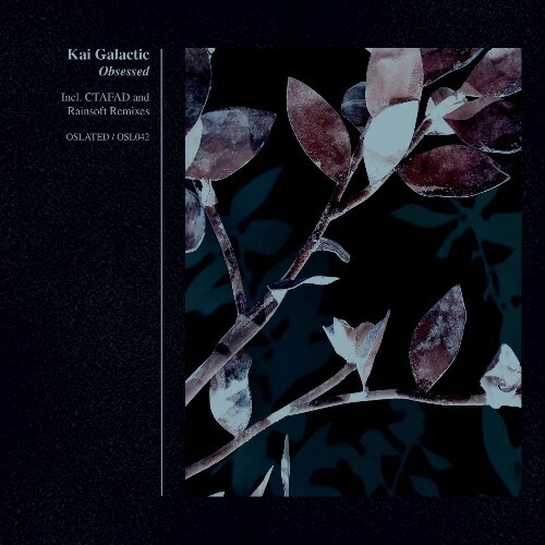  Kai Galactic - Obsessed (2026) 