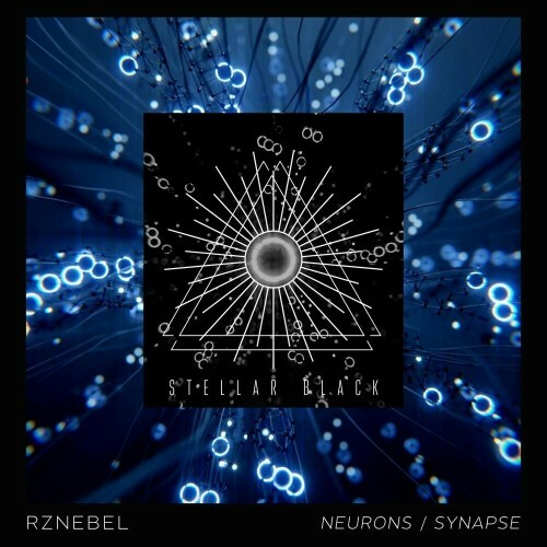 VA - RZNEBEL - Neurons / Synapse (2022) (MP3)