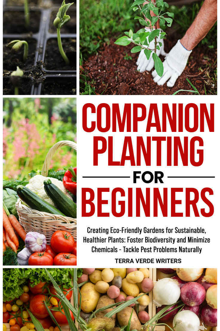 Companion Planting For Beginners (Lowell, Brian)