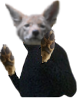 ME126ZQD_o.png
