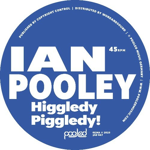  Ian Pooley - Higgledy Piggledy! (2026) 
