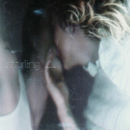Starling - Forgive Me, (2025) Starling - Forgive Me, (2025)