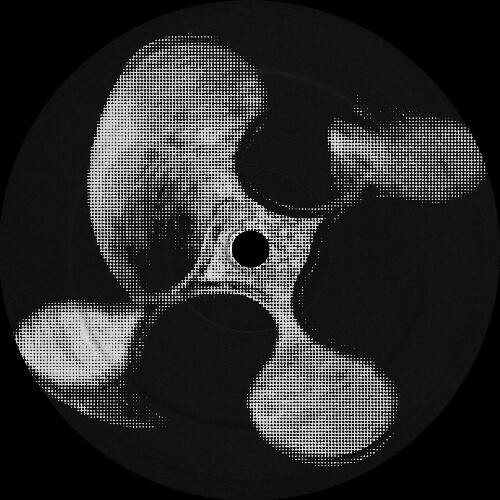  Habgud - Kinaesthetics (2026) 