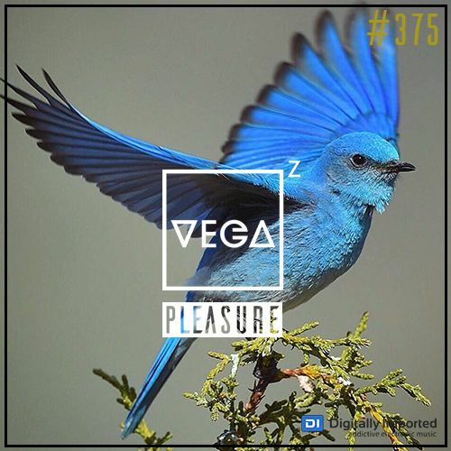 Vega Z — Pleasure 375 (2024—04—17)
