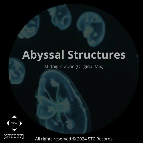  Abyssal Structures - Midnight Zone (2024) 