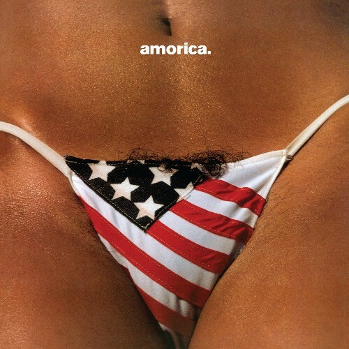  The Black Crowes - Amorica (2025) 