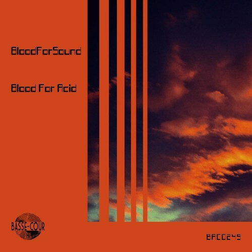 VA - BloodForSound - Blood For Acid (2024) (MP3) MEV5PX6_o