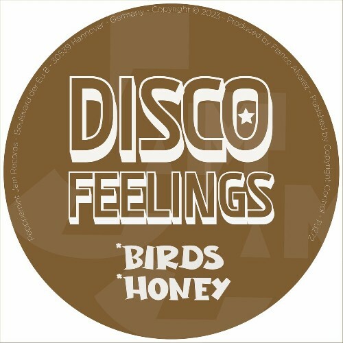 Disco Feelings - Birds & Honey (2023) MP3