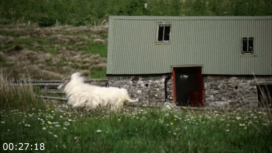 [Kép: ME1AYZX5_o.png]