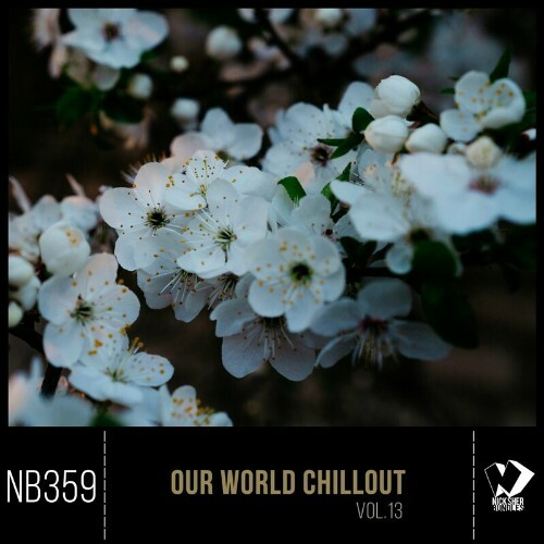  Our World Chillout, Vol. 13 (2024) 