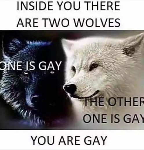 ME11JWIS_o.jpg
