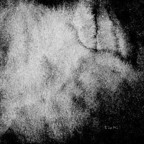 Franncø - Disoriented (2025) Franncø - Disoriented (2025)
