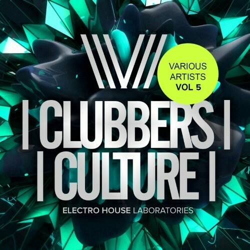  Clubbers Culture: Electro House Laboratories, Vol.5 (2024)  MESVIHZ_o