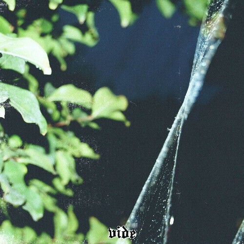  Vide - Decorated in spiderweb (2025) 