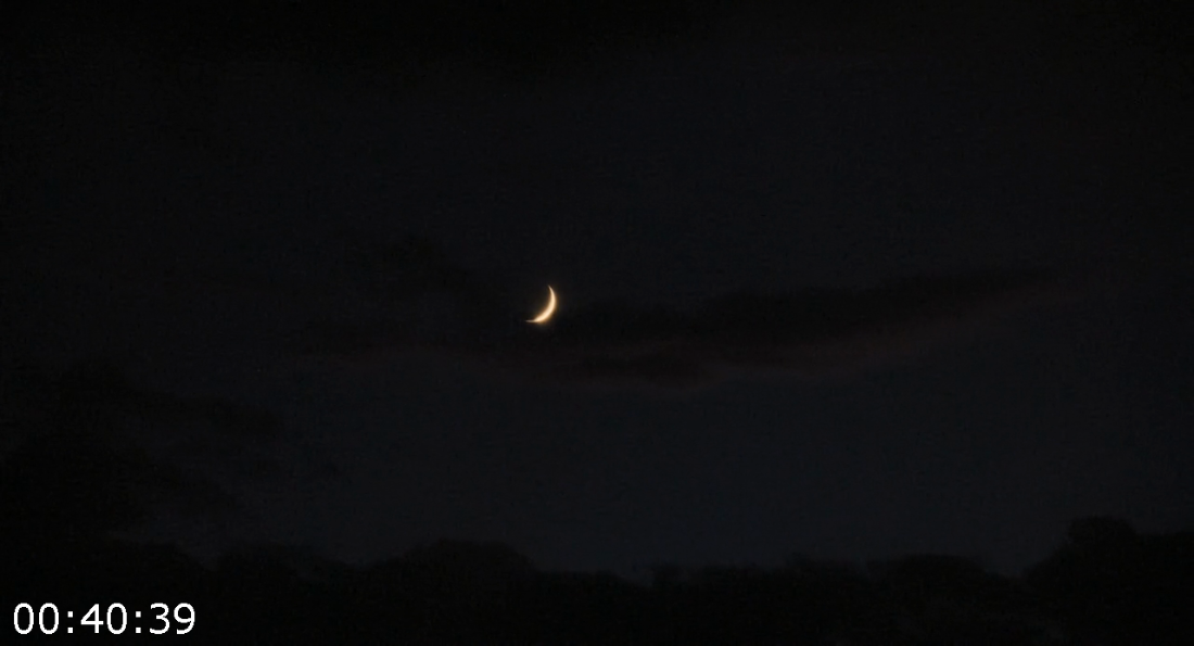 [Kép: ME19QD6O_o.png]