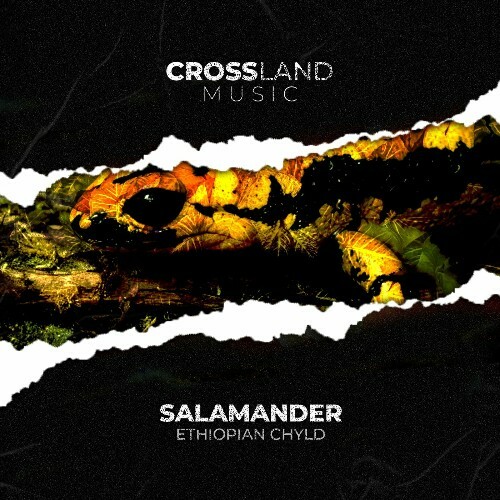  Ethiopian Chyld - Salamander (2024) 