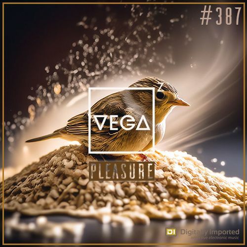  Vega Z - Pleasure 387 (2024-07-10) 