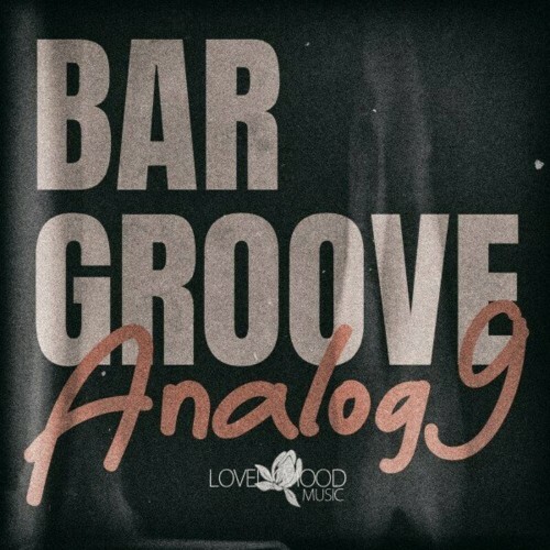  Bar Groove Analog 9 (2024) 