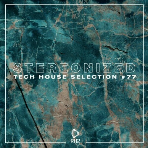  Stereonized: Tech House Selection, Vol. 77 (2024) 