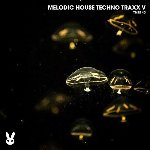  Melodic House Techno Traxx V (2024) 