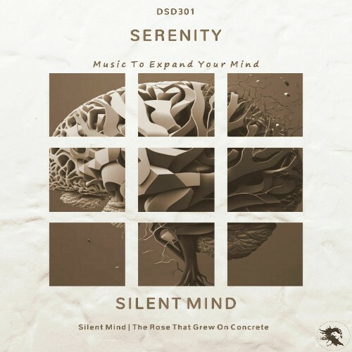 Serenity - Silent Mind (2025)