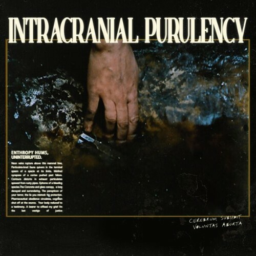  Intracranial Purulency - Entropy Hums, Uninterrupted. (2026) 