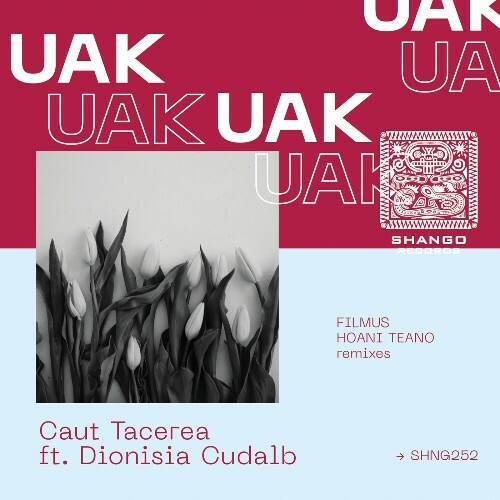 MP3:  UAK ft. Dionisia Cudalb - Caut Tacerea (2024) Онлайн