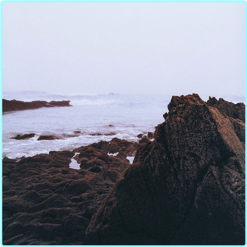 [Image: ME17VY8G_o.png]