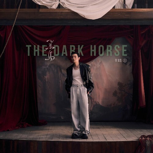  Ronghao Li - The Dark Horse (2024) 