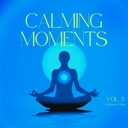 Calming Moments, Vol. 3 (2024)