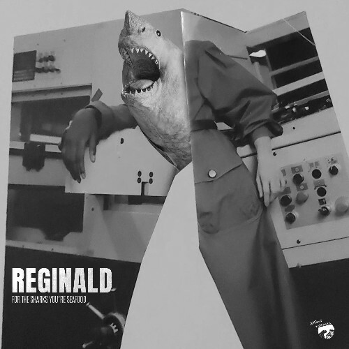  Reginald - For The Sharks You're Seafood (2024)  MEW6TOF_o