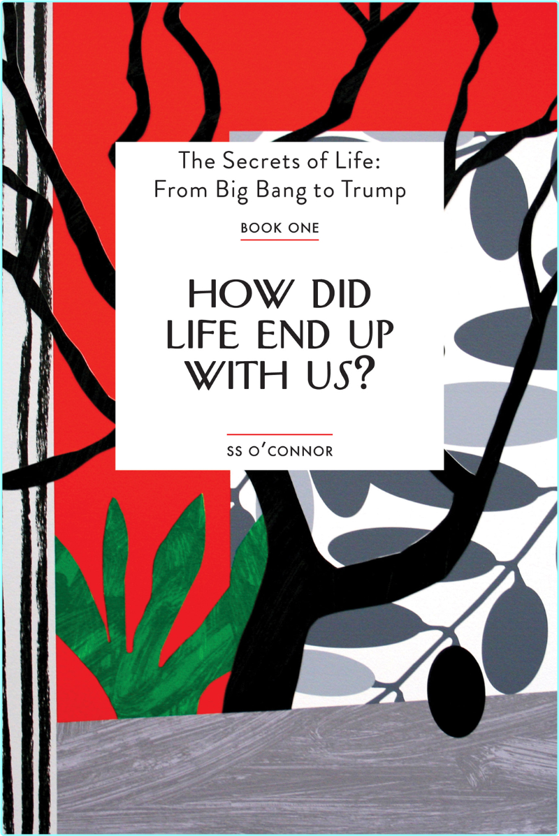 How Did Life End Up With Us? (O’Connor, S. S.;) How Did Life End Up With Us? (O’Connor, S. S.;)