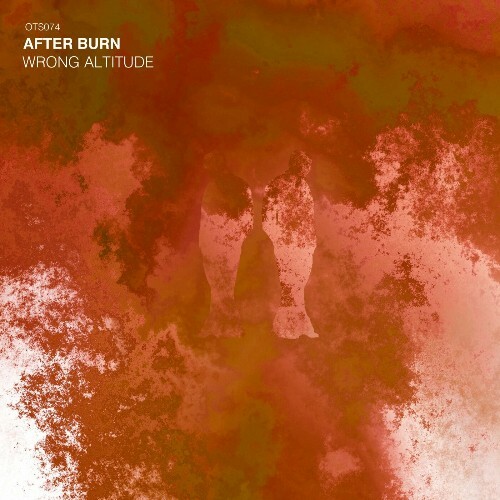 VA - After Burn - Wrong Altitude (2024) (MP3) METX029_o