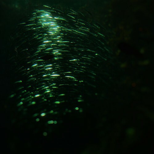Postdrome — From Heaven, From Nowhere (2026)