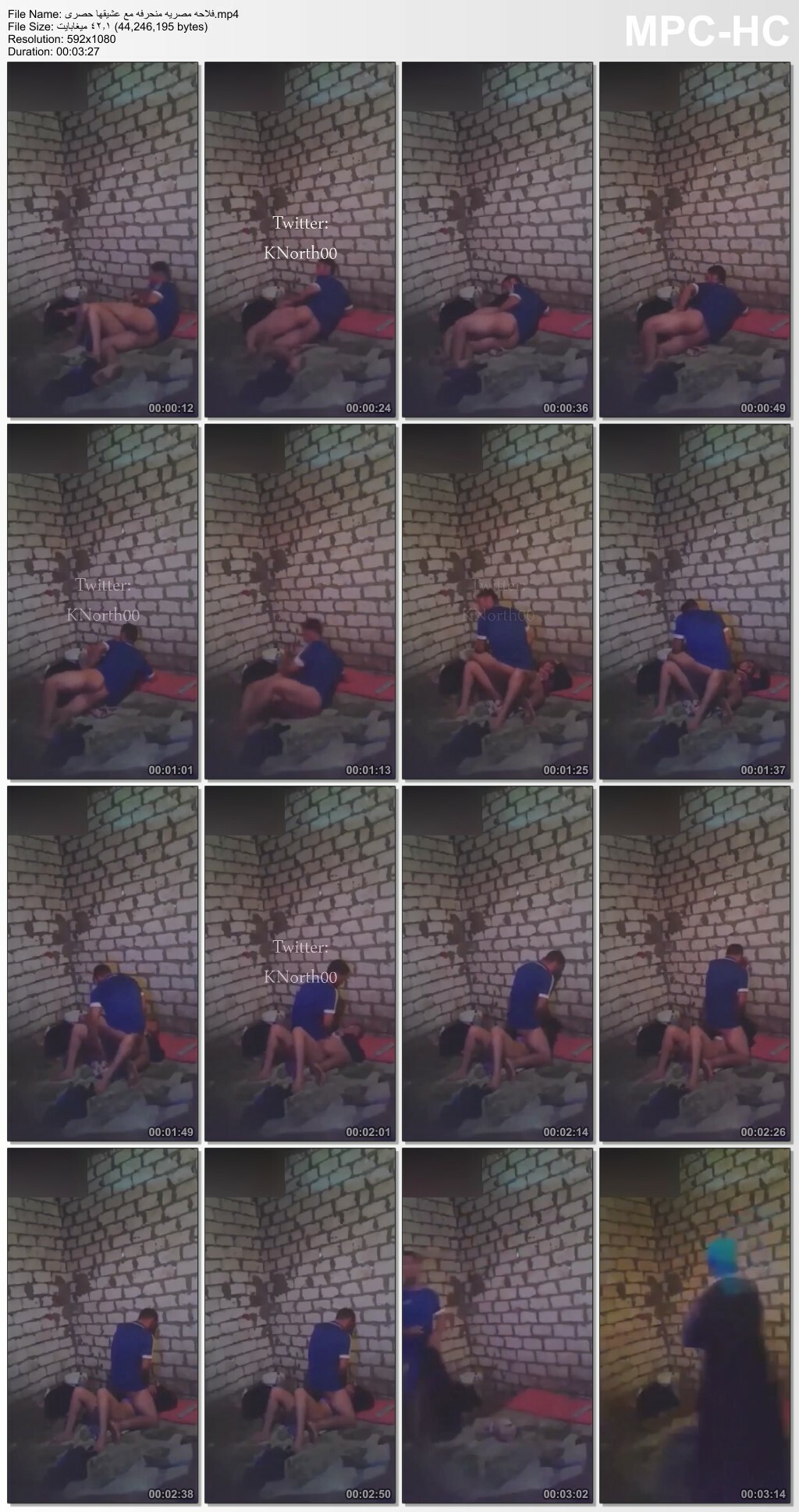 صورة