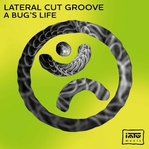  Lateral Cut Groove - A Bug's Life (2024) 