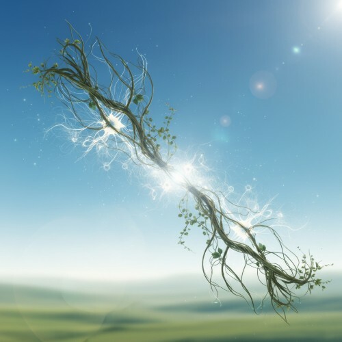  TaLeon - Zavelia (2026) 