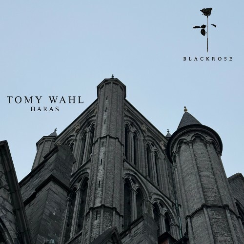 Tomy Wahl — Haras (2026)